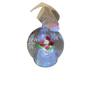 Handblown Glass Globe Ornament LED ChangingColor or Solid Light Flower NEW BATT